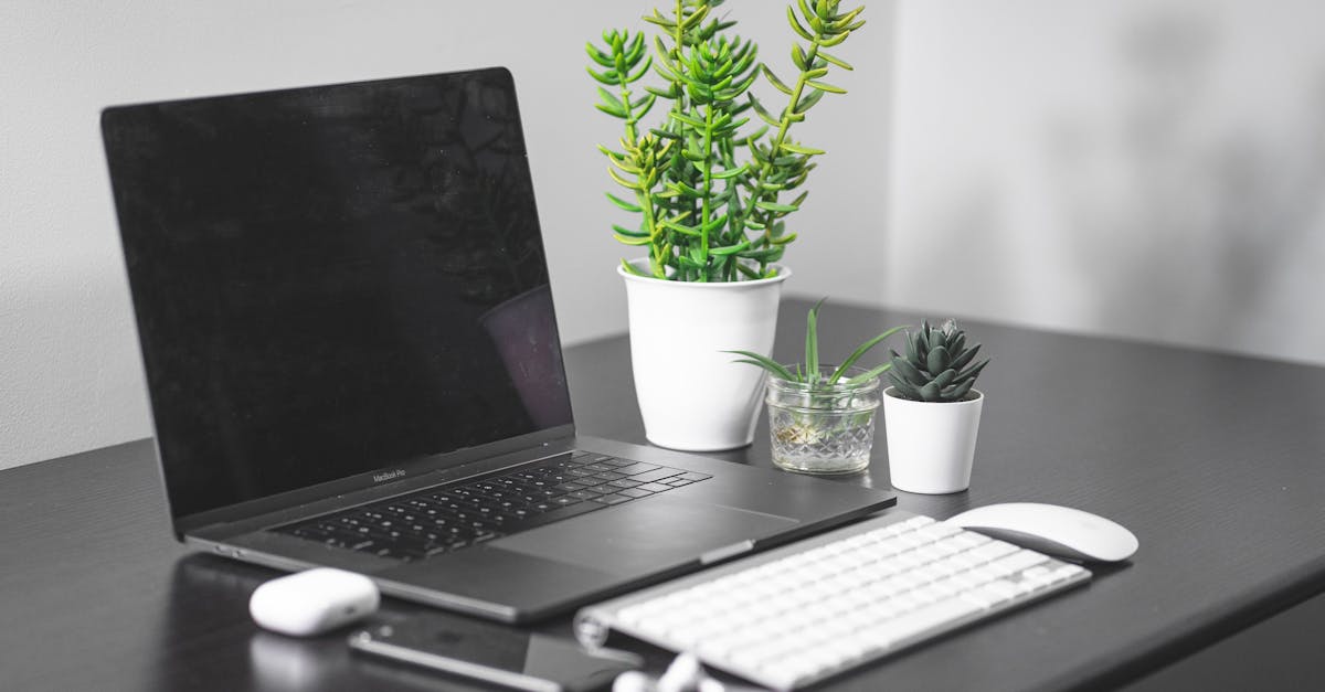 AI agent 多租户隔离与 Workspace 供给：tenant、缓存、网络和清理策略怎么控
