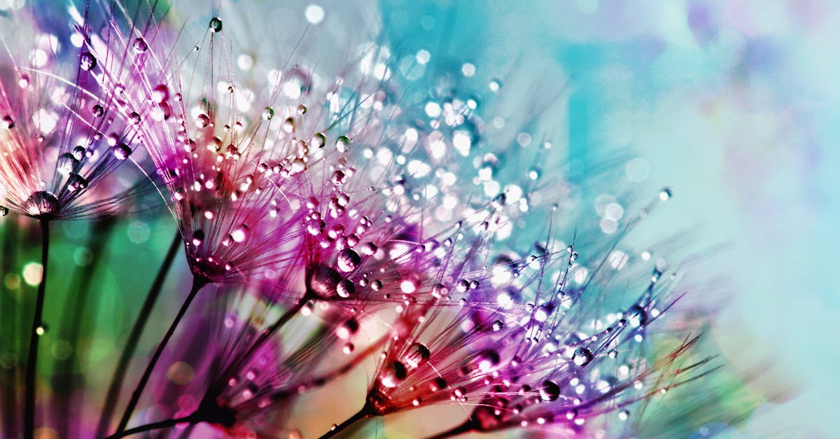 网站在线免费怎么做?从选模板到绑定域名的最短流程(附上线后 24h 复核清单)